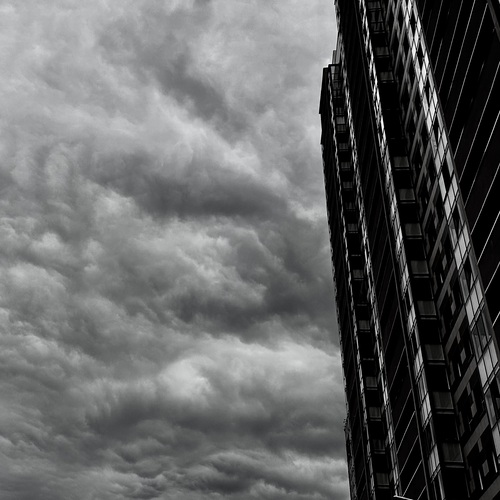 Photo #13785860
