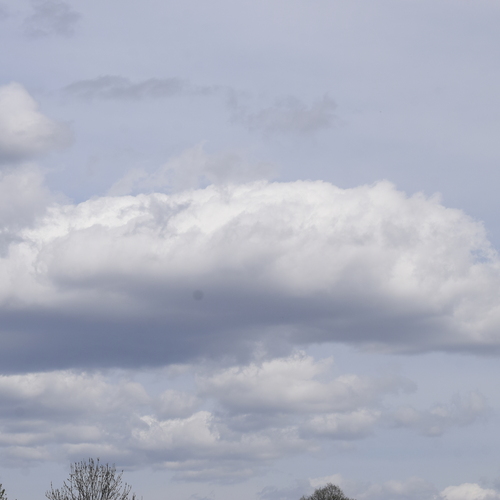 Photo #13785903