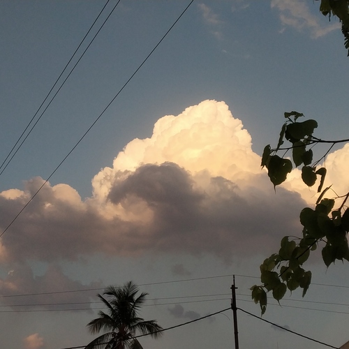 The Golden Linings