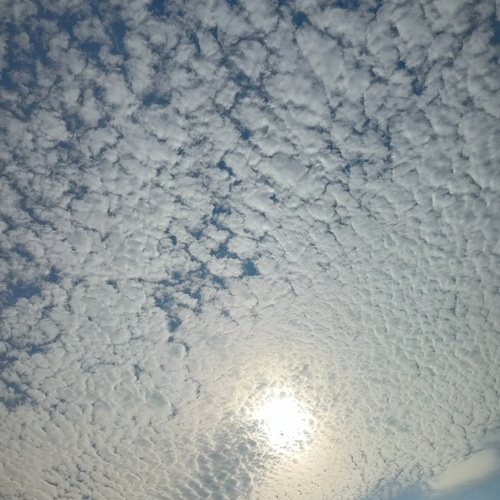 The Silver Linings