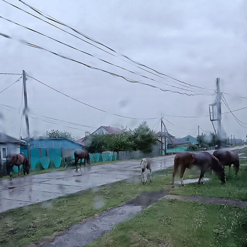 А за окном дождь...