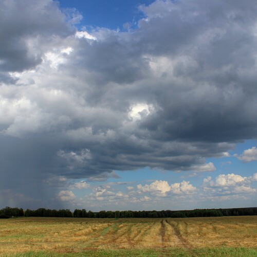 Photo #13785921
