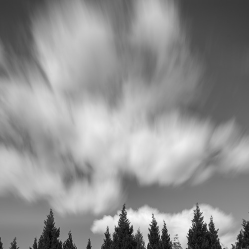 Photo #13785935