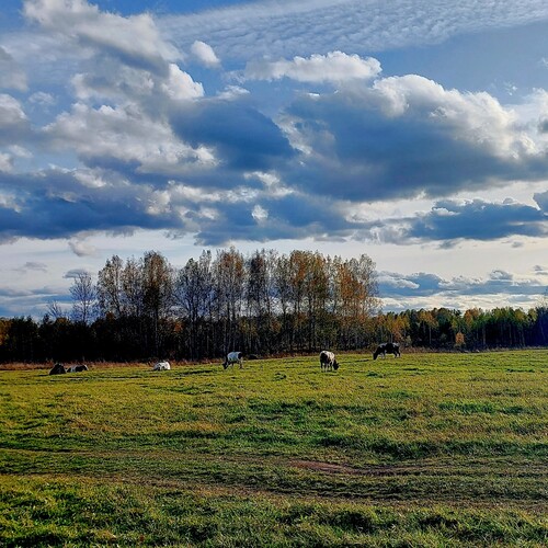 Photo #13785945