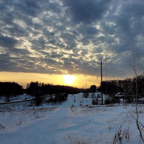 Photo #13785947