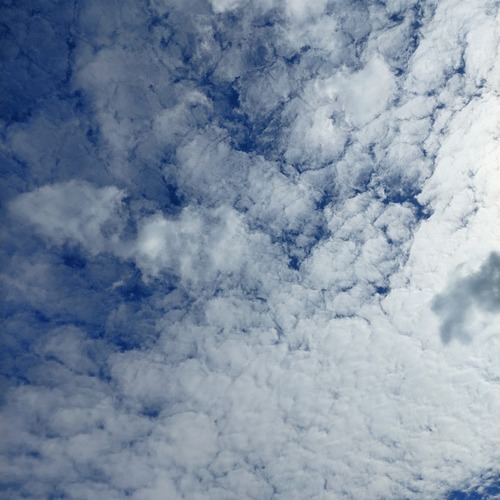 Photo #13785979