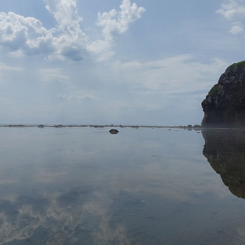 Photo #13785980