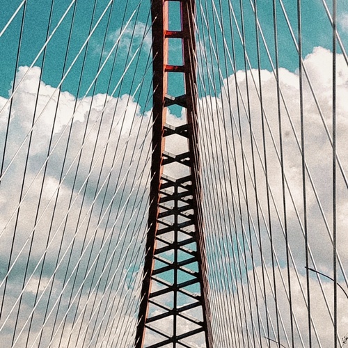 Photo #13786005