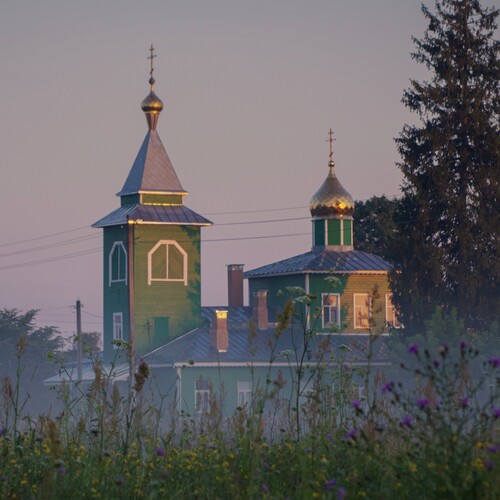 Photo #13786045
