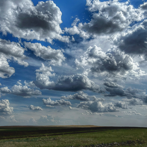 Photo #13786138