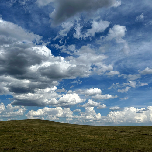 Photo #13786140
