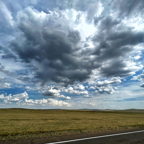 Photo #13786141