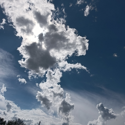 Photo #13786145