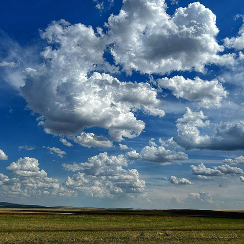 Photo #13786148