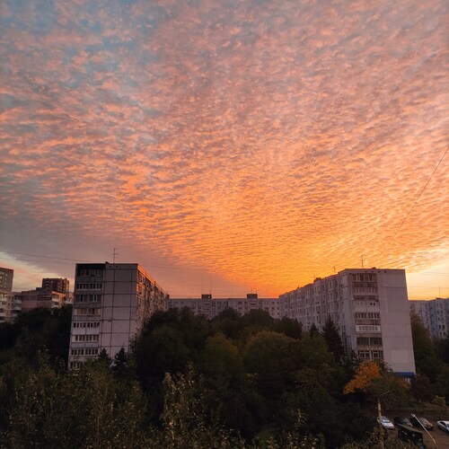 Photo #13786164
