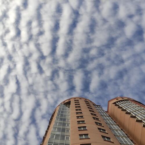 Photo #13786166