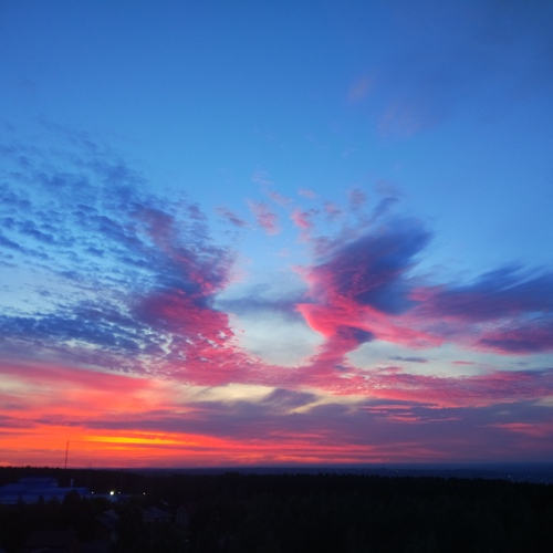 Photo #13786167