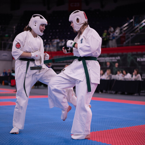 Photo #13786182