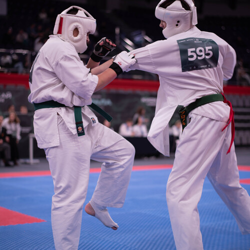 Photo #13786183