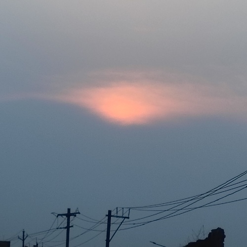 Photo #13786249