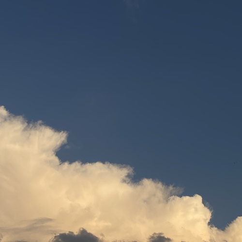 Photo #13786324