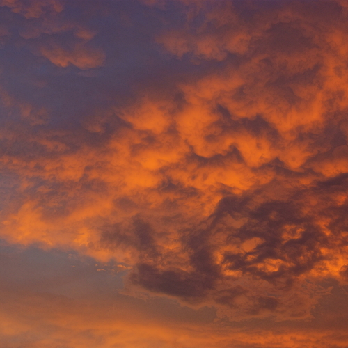 Photo #13786331