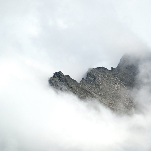Photo #13786360