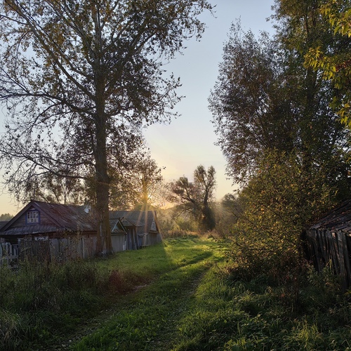 Photo #13786394