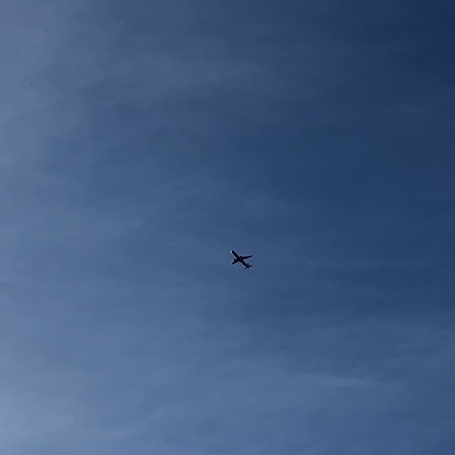 Photo #13786415
