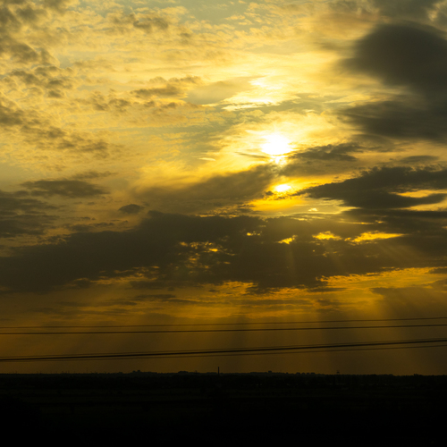Photo #13786441