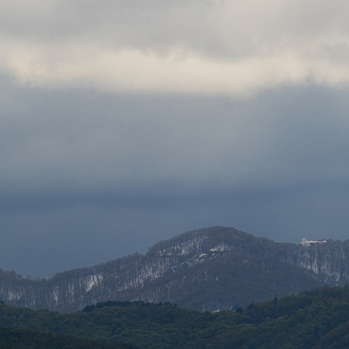Photo #13786523