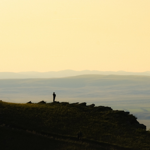 Photo #13786541