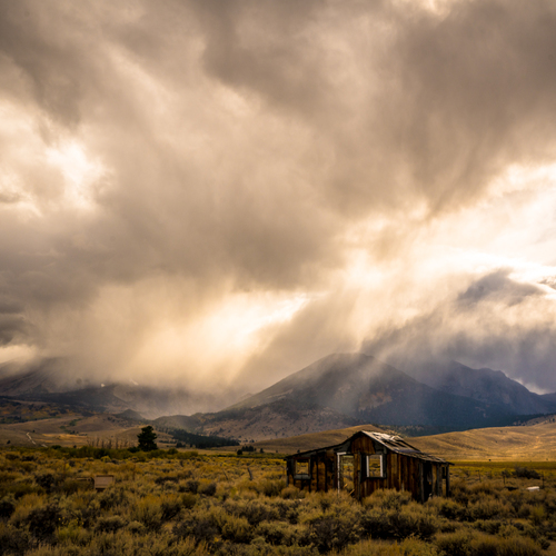 Photo #13786557