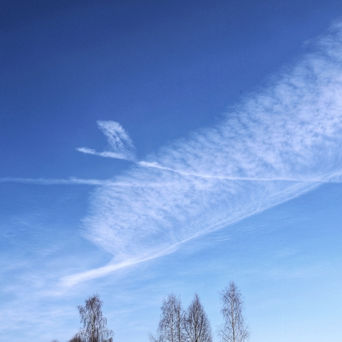Photo #13786584