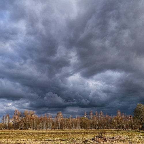 Photo #13786596