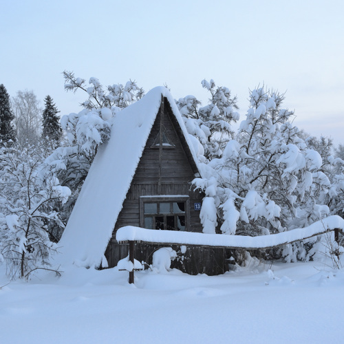Photo #13786620
