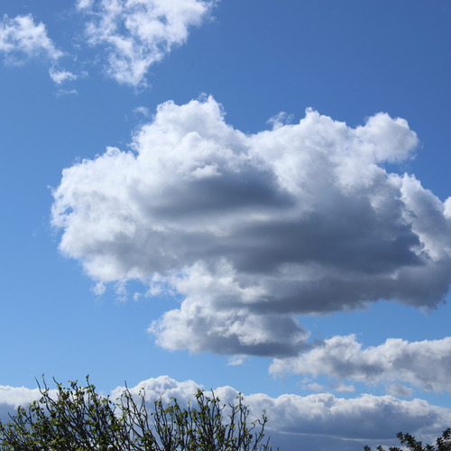Photo #13786632