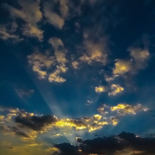 Photo #13786635