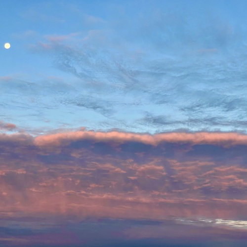 Photo #13786646
