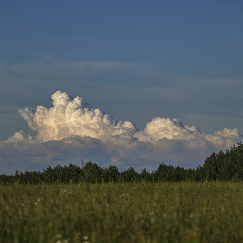 Photo #13786690