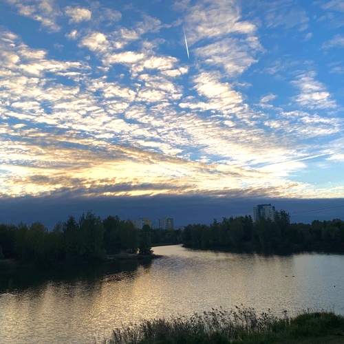 Photo #13786749