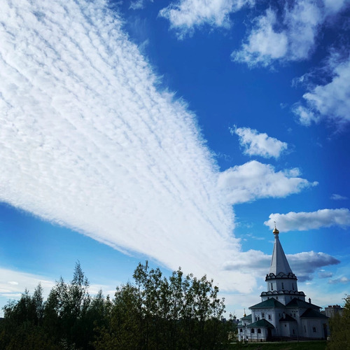 Photo #13786750