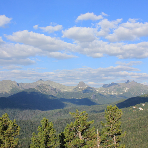 Photo #13786766