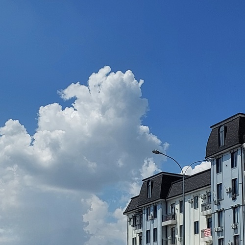 Photo #13786782