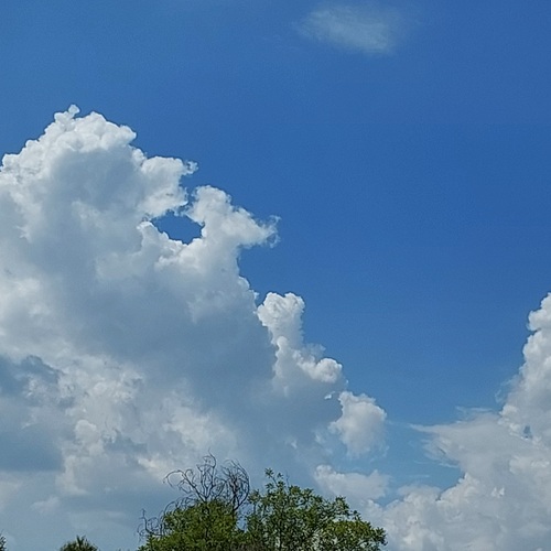 Photo #13786784