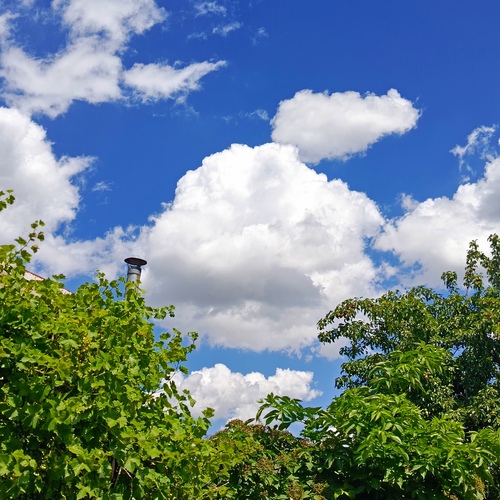 Photo #13786787
