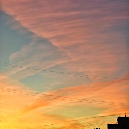 Photo #13786903