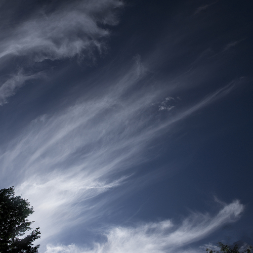 Photo #13786904