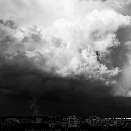 Photo #13786985