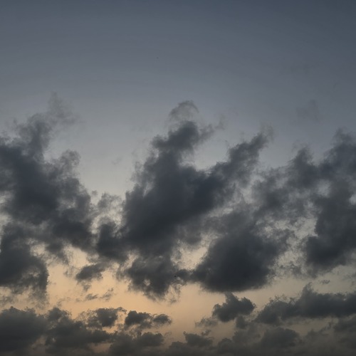 Photo #13787000